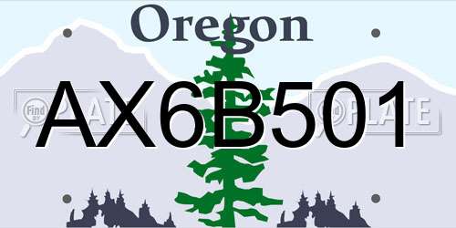 AX6B501 Oregon License Plate