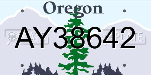 AY38642 Oregon License Plate