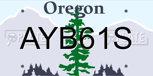 AYB61S Oregon License Plate