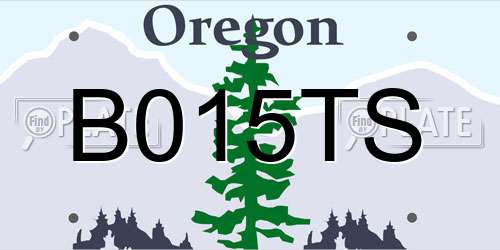 B015TS Oregon License Plate