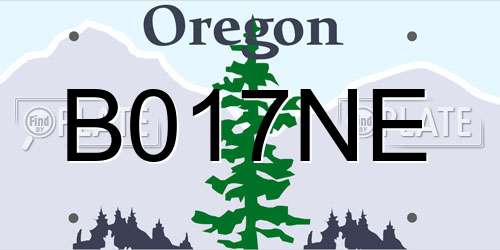 B017NE Oregon License Plate