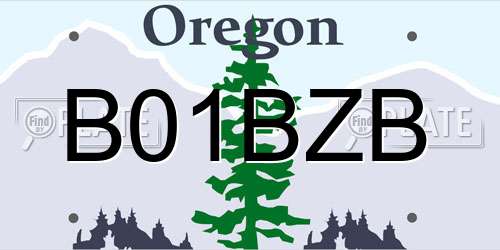 B01BZB Oregon License Plate