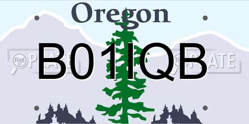 B01IQB Oregon License Plate
