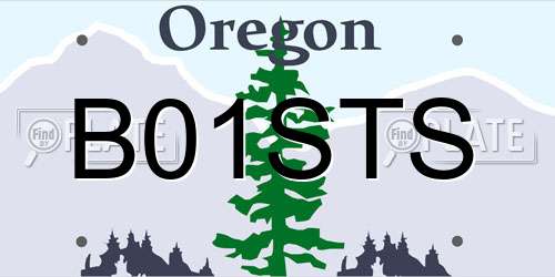 B01STS Oregon License Plate