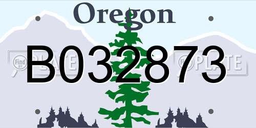 B032873 Oregon License Plate