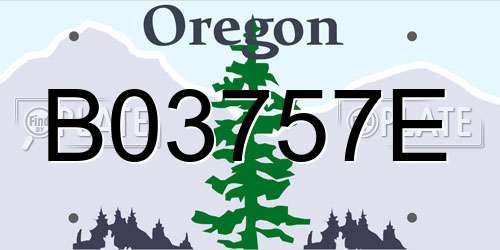 B03757E Oregon License Plate