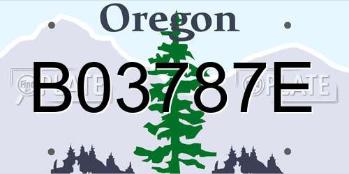 B03787E Oregon License Plate