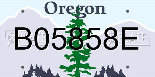 B05858E Oregon License Plate