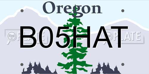 B05HAT Oregon License Plate
