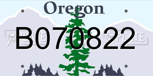 B070822 Oregon License Plate