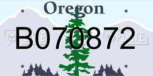 B070872 Oregon License Plate