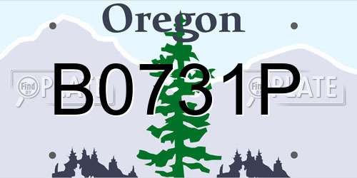 B0731P Oregon License Plate