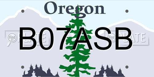 B07ASB Oregon License Plate