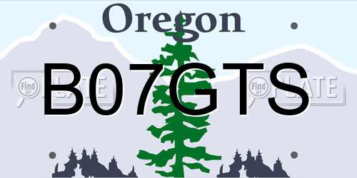 B07GTS Oregon License Plate