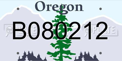 B080212 Oregon License Plate