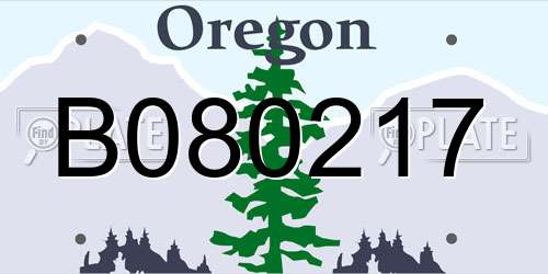 B080217 Oregon License Plate