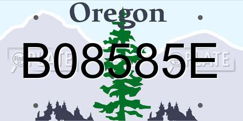 B08585E Oregon License Plate