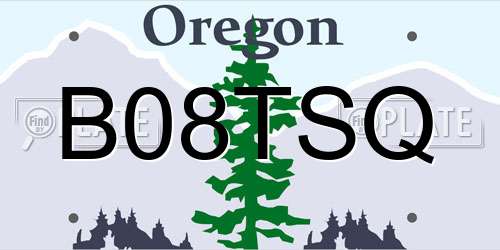 B08TSQ Oregon License Plate