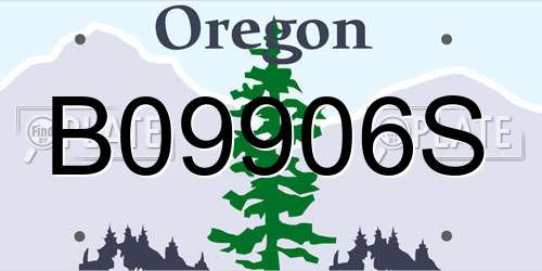B09906S Oregon License Plate