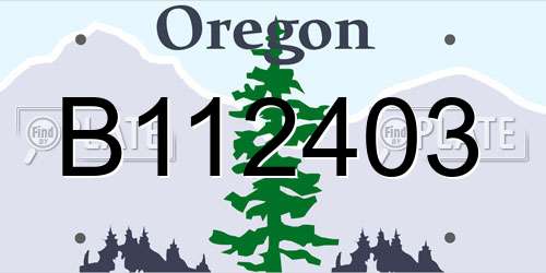 B112403 Oregon License Plate