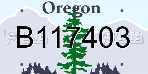 B117403 Oregon License Plate