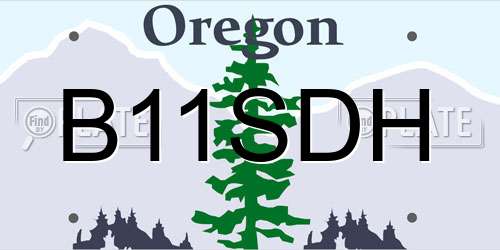 B11SDH Oregon License Plate