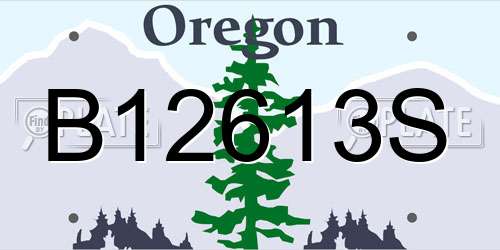 B12613S Oregon License Plate