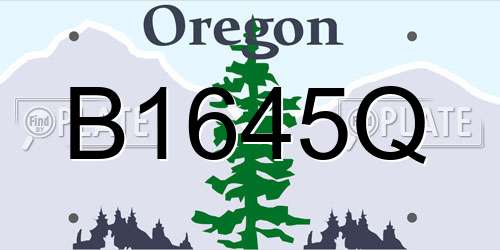 B1645Q Oregon License Plate