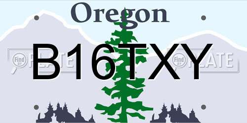 B16TXY Oregon License Plate
