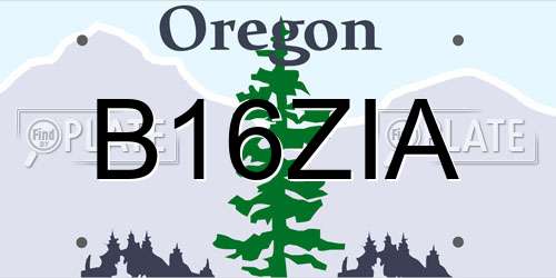 B16ZIA Oregon License Plate