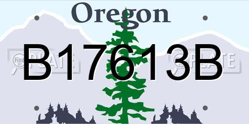 B17613B Oregon License Plate