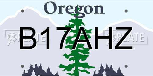 B17AHZ Oregon License Plate