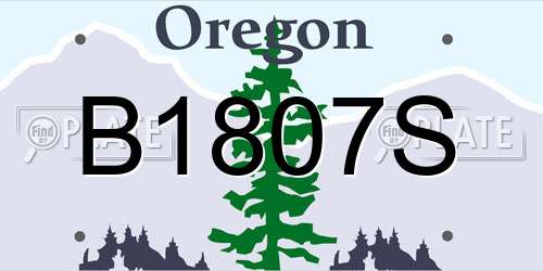 B1807S Oregon License Plate