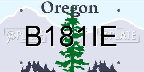 B181IE Oregon License Plate