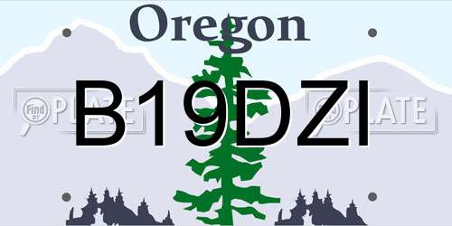 B19DZI Oregon License Plate