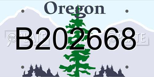 B202668 Oregon License Plate