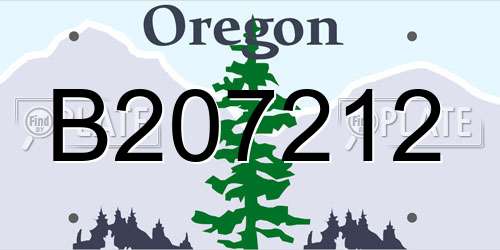 B207212 Oregon License Plate