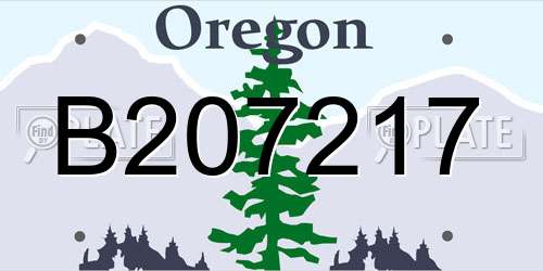 B207217 Oregon License Plate