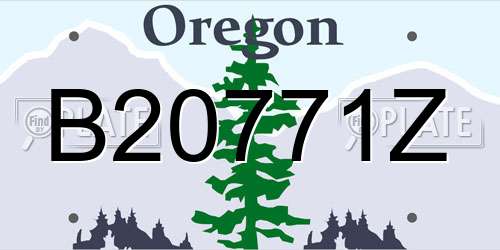 B20771Z Oregon License Plate