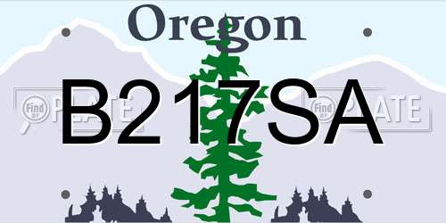 B217SA Oregon License Plate