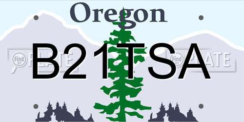 B21TSA Oregon License Plate