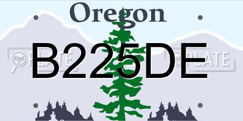 B225DE Oregon License Plate