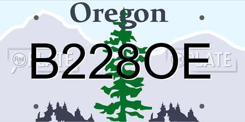 B228OE Oregon License Plate