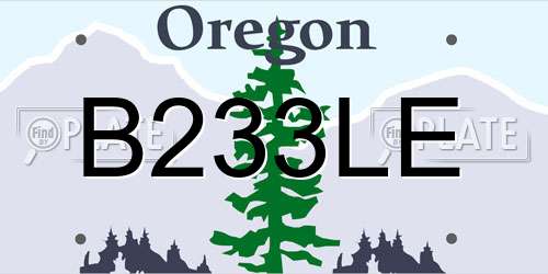 B233LE Oregon License Plate