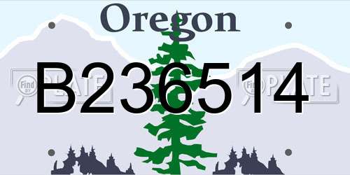 B236514 Oregon License Plate