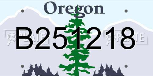 B251218 Oregon License Plate