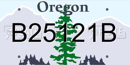B25121B Oregon License Plate