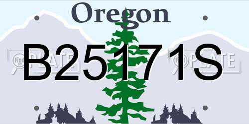 B25171S Oregon License Plate