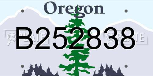 B252838 Oregon License Plate