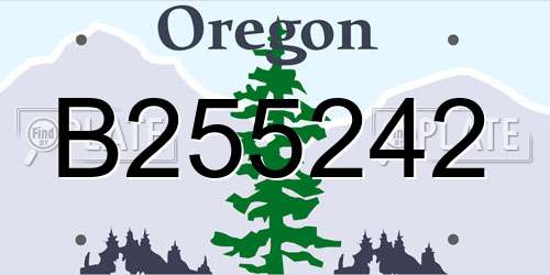 B255242 Oregon License Plate